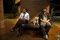 robert downey jr le chien zach galifianakis