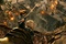 warcraft-gallery-05-jpg