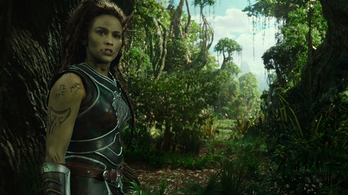 warcraft-gallery-06-jpg