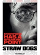affiche-teaser-americaine-2-jpg