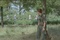 Boris Isakovic