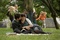 joseph gordon levitt zooey deschanel