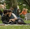 joseph gordon levitt zooey deschanel - (500) jours ensemble 