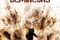 Affiche du film Les démineurs