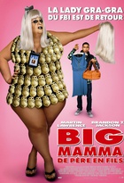 Affiche miniature du film Big Mamma : De Père en Fils 