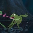 tiana et le prince en grenouille la langue emmel  e