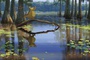 un crocodile