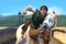flynn se battant avec son cheval   raiponce