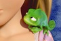 le cam l on