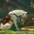 le cheval et raiponce   raiponce