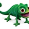 le petit cam l on - Raiponce  