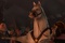 un cheval   raiponce