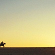 Cheval et coucher de soleil