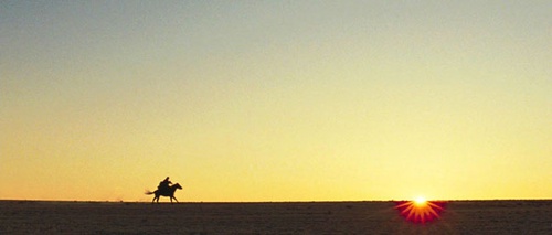 Cheval et coucher de soleil