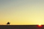 Cheval et coucher de soleil