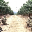 photo 3 du film lebanon