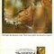 Affiche du film Le démon des femmes - Le démon des femmes 