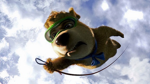 Yogi saute en parachute