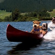 Yogi en bateau