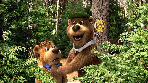 Yogi dans la forêt