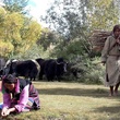 photo du film milar  pa