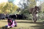 photo du film milar  pa
