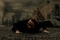 sc  ne du film resident evil afterlife