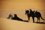 photo 10 du film le grand voyage d ibn battuta de tanger a la mecque
