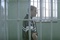 matt damon en prison