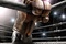 real-steel-jpg