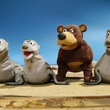 un ours et des phoques