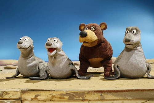 un ours et des phoques