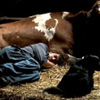 photo 4 du film coeur animal