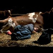 photo du film coeur animal