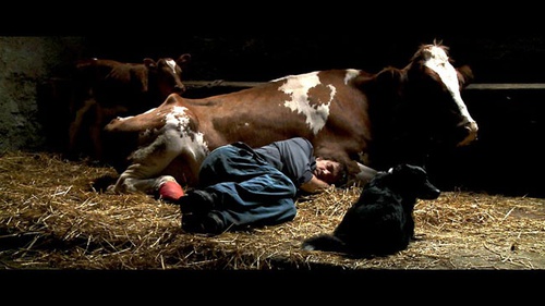 photo du film coeur animal