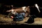 photo du film coeur animal