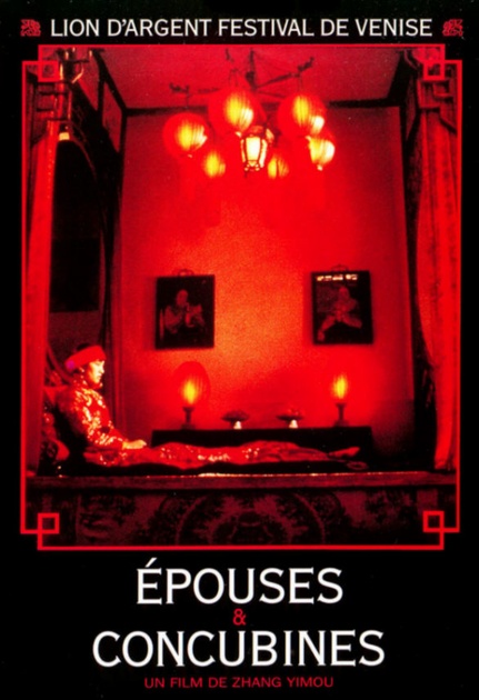 Affiche du film Épouses et concubines