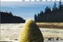 Affiche du film Rivers and Tide