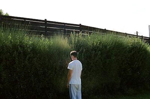 photo du film canine