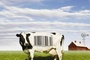 Affiche du film Food, Inc.