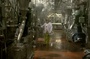 photo 2 du film food inc
