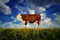 photo 7 du film food inc