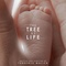 affiche ame  ricaine - Tree of Life 