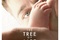 Affiche du film Tree of Life 