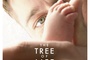Affiche du film Tree of Life 