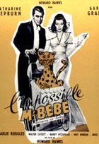 Affiche miniature du film L'Impossible monsieur Bébé