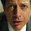 jeff goldblum