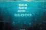 affiche fran  aise
