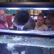 christopher lloyd elisabeth shue