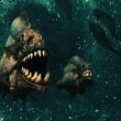 piranhas